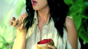 Katy Perry- Roar 