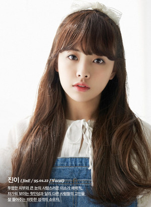  Oh My Girl Jine profil