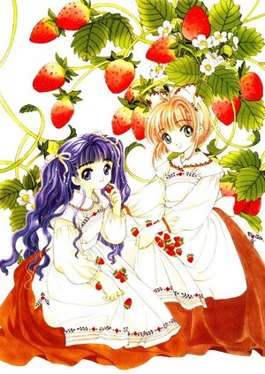  Tomoyo and Sakura