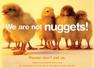  We are Not Nuggets!