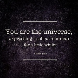  You are the universe