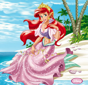  ariel on the strand of an island