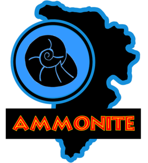  jp Ammonite