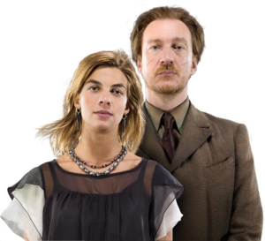  Tonks and lupin