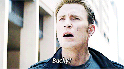  Bucky