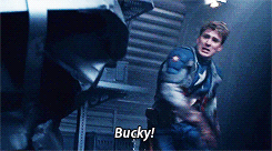  Bucky