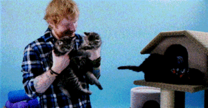  Ed and mèo con ♥