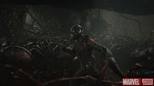 12 New Ant-Man foto's