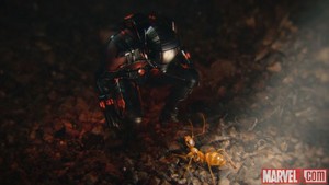  12 New Ant-Man các bức ảnh