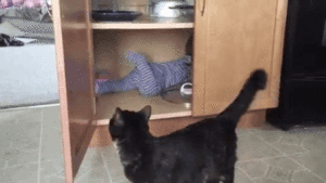  Cat closes cabinet door on baby 2