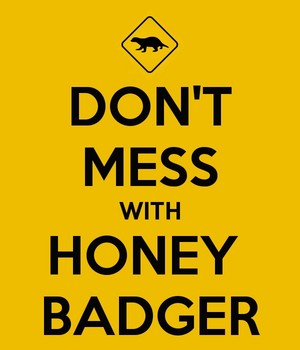  Don't Mess with Honey tasso, badger