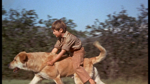  Kevin Corcoran as Arliss Coates in Old Yeller