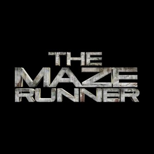  Maze runner