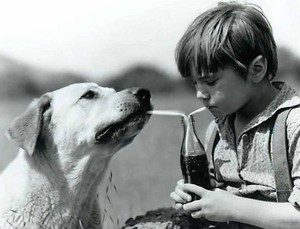  Old Yeller - Behind the Scenes - Kevin Corcoran and Spike