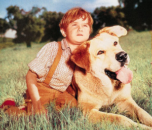  Old Yeller Portrait - Kevin Corcoran and Spike