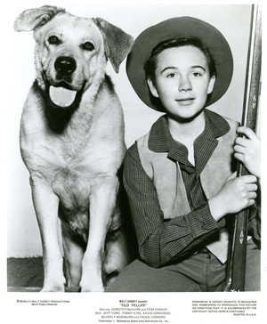  Old Yeller Portrait - Spike and Tommy Kirk
