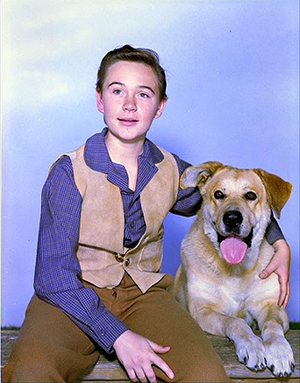  Old Yeller Portrait - Tommy Kirk and Spike