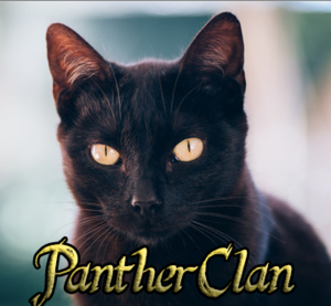  PantherClan's New Logo