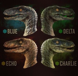  Raptor Squad(Blue,Delta,Echo and Charlie)
