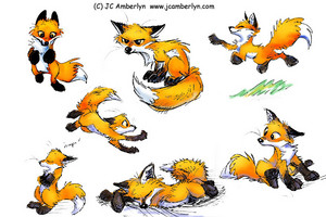  Rusty the Red rubah, fox