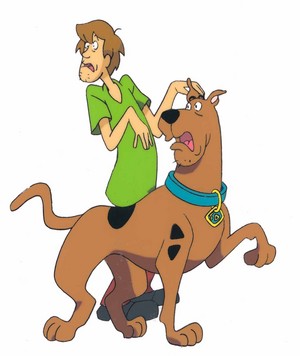  Scooby And Shaggy