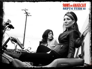  Sons of Anarchy দেওয়ালপত্র - Tara Knowles and Gemma Teller