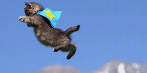  THE FLYING Pusa