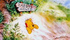  The Many Adventures of Winnie the Pooh