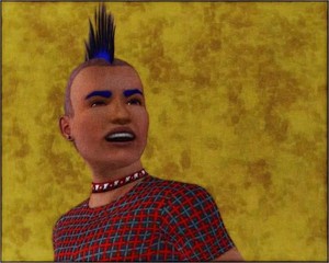 The Sims 3 Fanarts