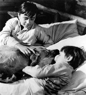  Tommy Kirk as Travis Coates and Kevin Corcoran as Arliss Coates in Old Yeller
