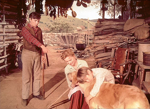  Tommy Kirk as Travis, Dorothy McGuire as Katie and Kevin Corcoran as Arliss Coates in Old Yeller