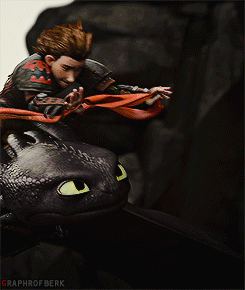  Toothless and Hiccup