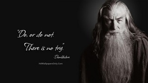  dumbledore