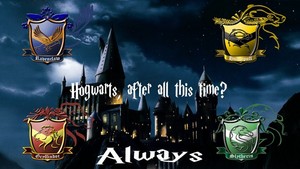  hogwarts always