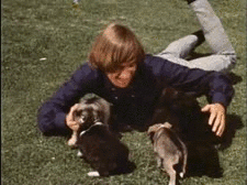 peter with puppys!