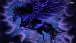  Black Pegasus
