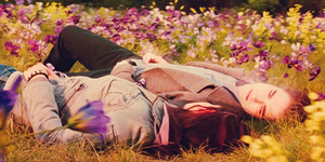  Edward and Bella in their meadow