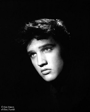  Elvis Presley 💗