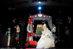  Kashiwagi Yuki robot wedding