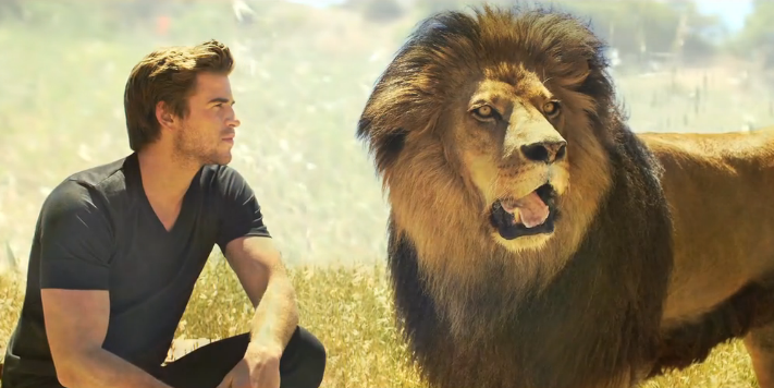 Liam and the lion