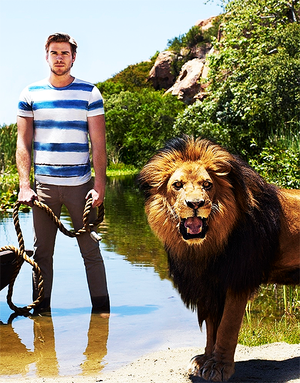  Liam the lion tamer