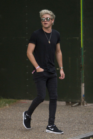  Niall at Wireless Festival