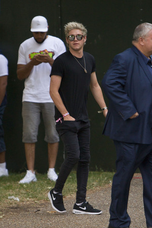  Niall at Wireless Festival