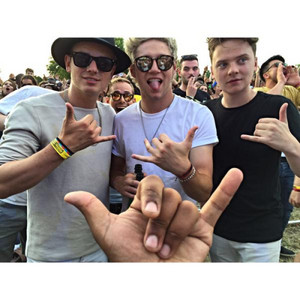  Niall at wireless festival