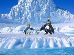  Piplup,Prinplup and Empoleon in Antarctica