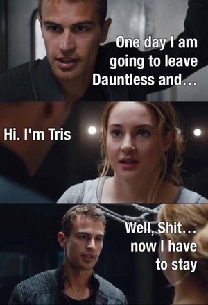  Theo and Shai / Tris and Four
