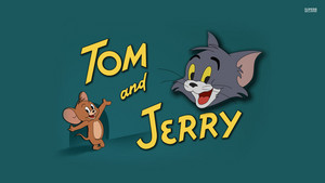 톰과 제리