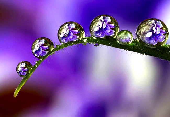 Water Droplet Reflections