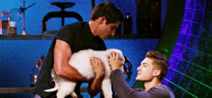  We all wish we could be that puppy