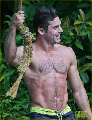 Zac Efron Goes Shirtless in Hawaii, Is 더 많이 Ripped Than Ever!